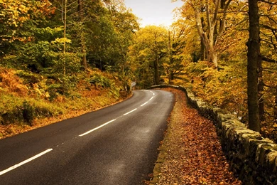 Beautiful Autumn Road Wallpapers