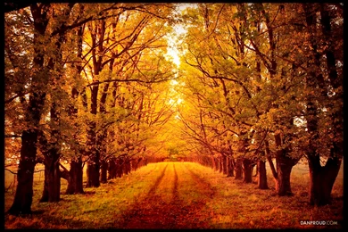 Autumn Road By Dannyp5000 On DeviantArt