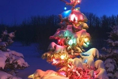 Download Christmas Night Moon HD Wallpapers For Moto E ...