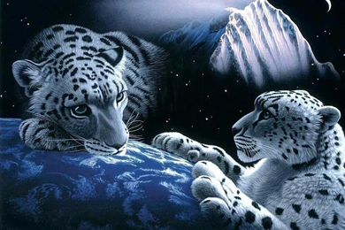 3d Wallpapers Phone ~BwAvsN Free Download