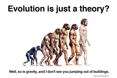 Richard Dawkins Quote 2   Evolution Wallpapers