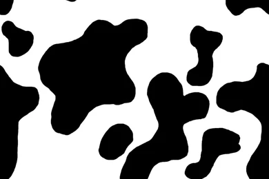 Cow Backgrounds ClipArt Best