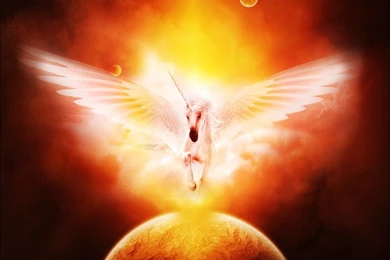 UNICORN 2     upload Wallpapers By Lotus su On DeviantArt