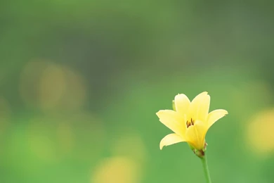 Computer Desktop Backgrounds Photography_   HD Widescreen Wallpapers