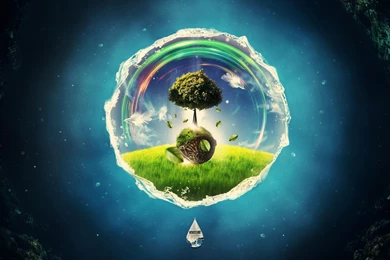 Tree In Water Drop Wallpapers