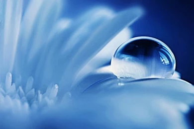 538 Water Drop HD Wallpapers