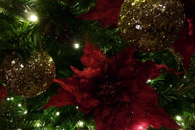 MLeWallpapers.com   Maroon And Gold Christmas Tree