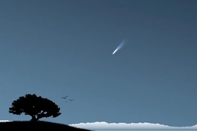 Nature,landscapes Landscapes Nature Trees Night Stars Silhouette ...