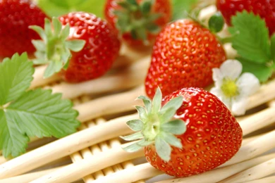 Strawberry Wallpapers HD