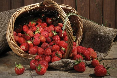 Desktop Wallpapers · Gallery · Miscellaneous · Wood Strawberry ...