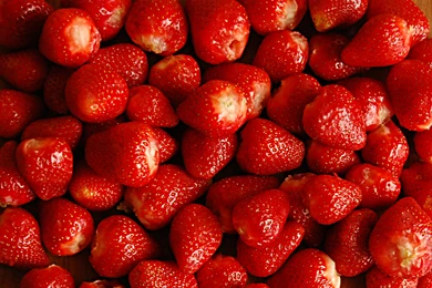 Strawberry Wallpapers