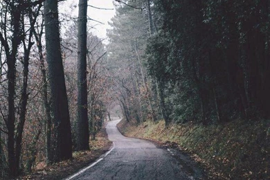 Clouds, Flower, Flowers, Fog, Hipster, Indie, Iphone Wallpapers ...