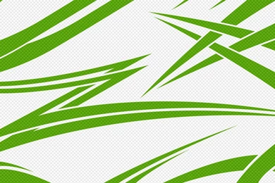 1280x1024 White & Green Carbon Desktop PC And Mac Wallpapers