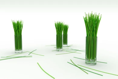 White glass green grass desktop 1600x1200 wanted wallpapers ...
