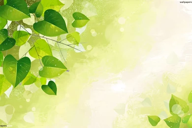 Green Vector Tree Leaves HD Wallpapers