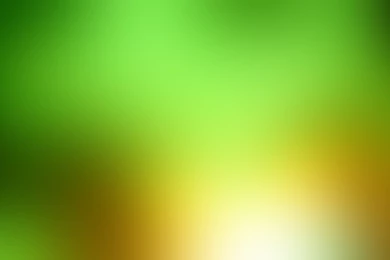 Full HD 1080p Green Wallpapers HD, Desktop Backgrounds 1920x1080 ...