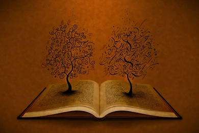 Books Backgrounds   Wallpapers Zone