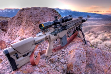 MCS NM M1A Gun Wallpapers