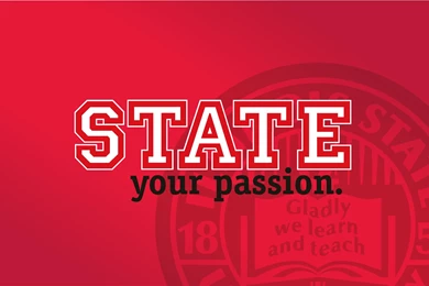 Illinois State Wallpapers