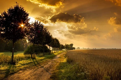 Great Landscape Wallpapers