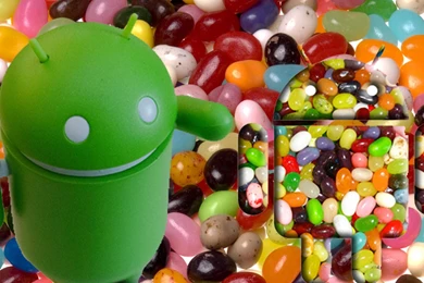 New Android 4.1 Jelly Bean Review   Sites Gadget