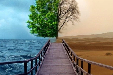 50 Gorgeous High Quality Apple iPad Wallpapers