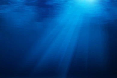 Woos Pigs: New Ipad Designed In Wallpapers