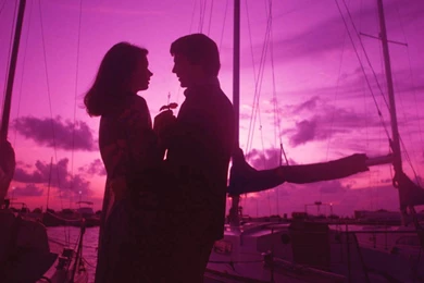 Love Romance Wallpapers   Crazy Frankenstein