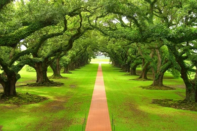 Wallpapers 7 Beautiful HD Wallpapers 3