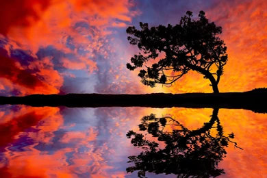 Wallpapers Beautiful Face Sunset A Nature Hd For PC Mobile ...