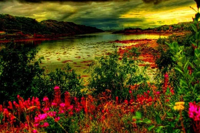 Artistic 98 Wallpaper Backgrounds   HD Wallpapers