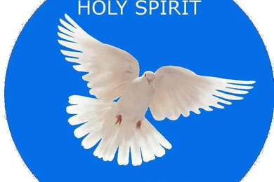 Download HD New Year 2016 Bible Verse Greetings Card & Wallpapers ...