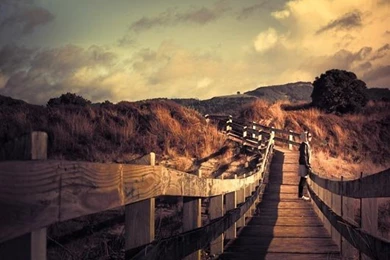 30+ Internet's Most Downloaded Natural Wallpapers