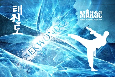 Taekwondo Wallpapers Wallpapers Cave