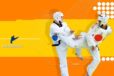 Wallpapers Taekawando Sports Taekwondo Fond D Cran Original ...