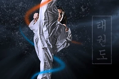 Taekwondo By Kelebarapictures On DeviantArt