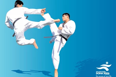 Wallpapers Taekwondo Doha Karate 1024x768