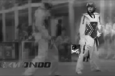 TaeKwonDo Wallpapers By Pixku On DeviantArt