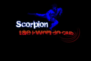 Scorpion Taekwondo Wallpapers Black