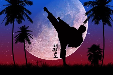 York All Stars Taekwondo » Taekwon_Do_by_Belafon