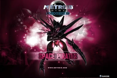 Metroid Prime 2 Echoes Wallpapers : Dark Space Pirate Trooper ...