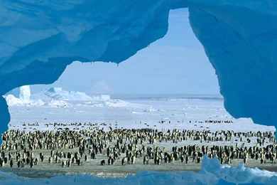 Map Of Antarctica Wallpapers