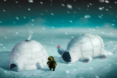 Antarctica Wildlife Bears   HD Wallpapers Widescreen   1024x768