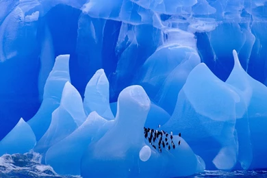 Antarctica Wallpapers 10219   Pacify Mind