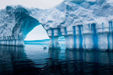 Antarctica Wallpaper, Animals / Wild: Antarctica, Penguin, Iceberg ...