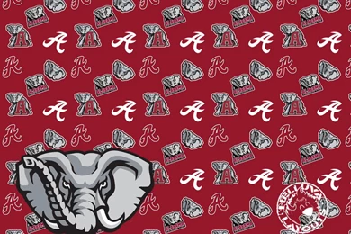 Alabama   Blanket Photo By HelluvaLayouts