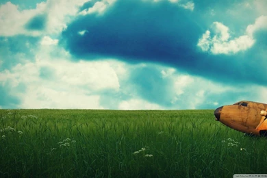 Download Fighter Plane Wallpapers 240x320