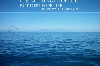 Life Quotes Wallpapers Free Download