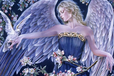 Angel Of Love >> HD Wallpaper, Get It Now!
