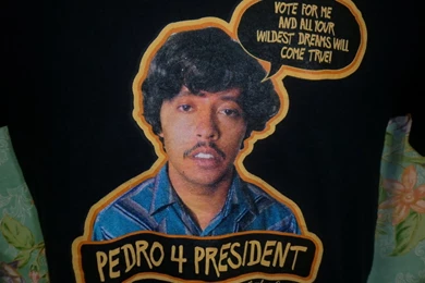 Pedro From Napoleon Dynamite Quotes. QuotesGram